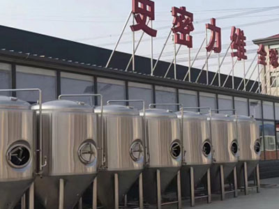 怀宁精酿啤酒设备厂—市场规模与跨界新需求